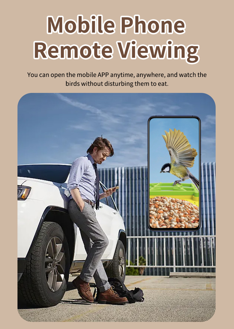 STLFSmart Bird Feeder HD Camer - Power Outdoor recension och pris